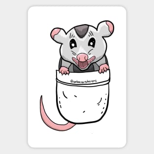 Opossum In Your Pocket Magnet